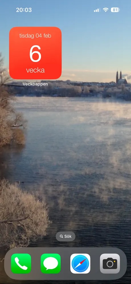 Widget, skärmbild